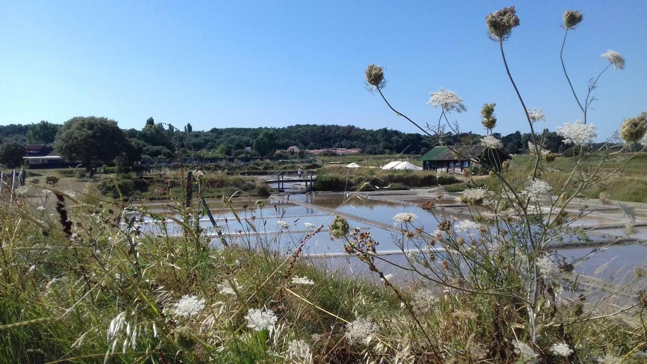 La Chaumette Villa Les Sables-dʼOlonne Eksteriør bilde